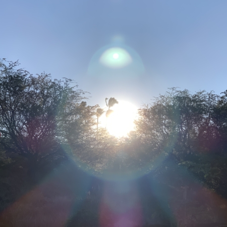 Orbs